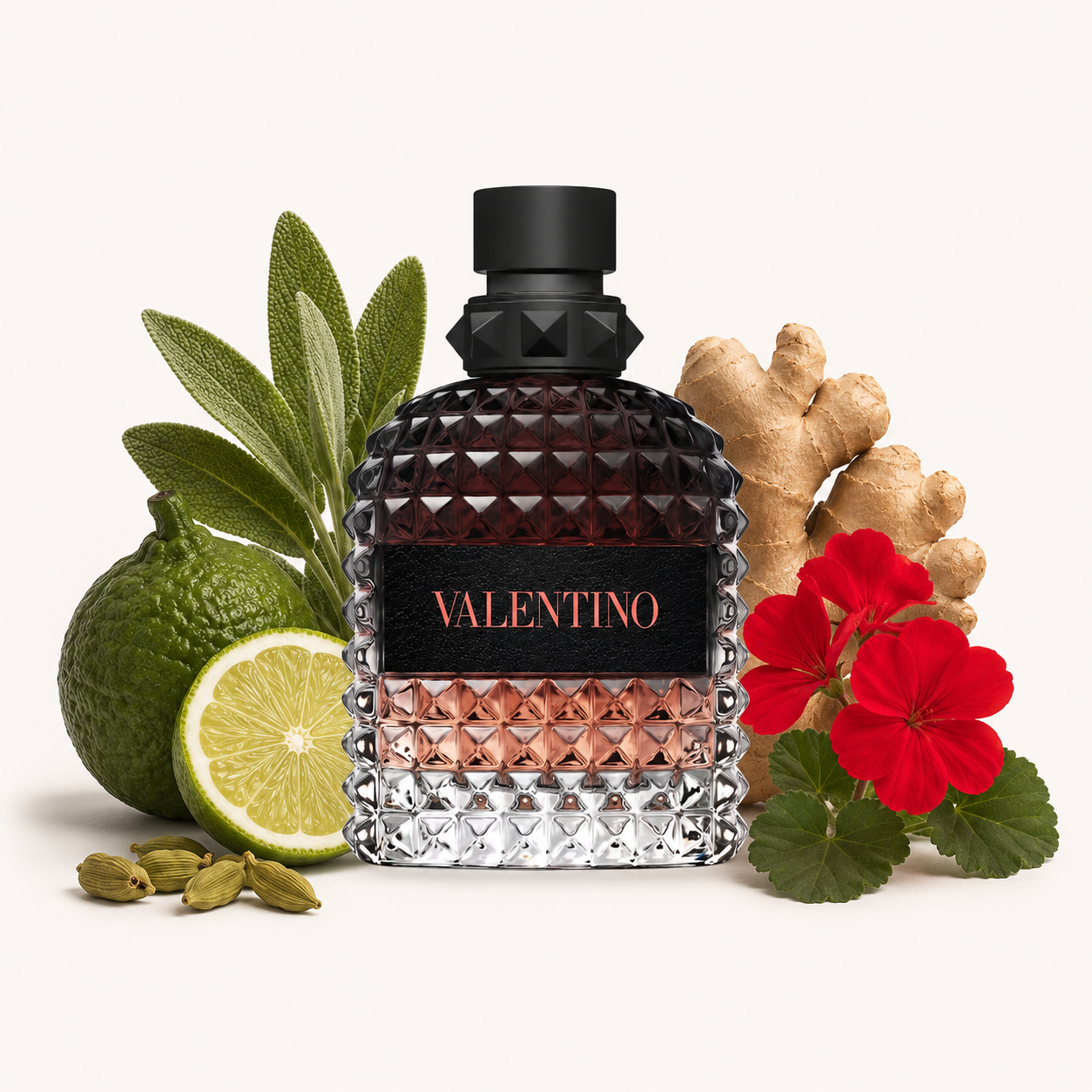 Uomo Born In Roma Coral Fantasy Eau de Toilette
