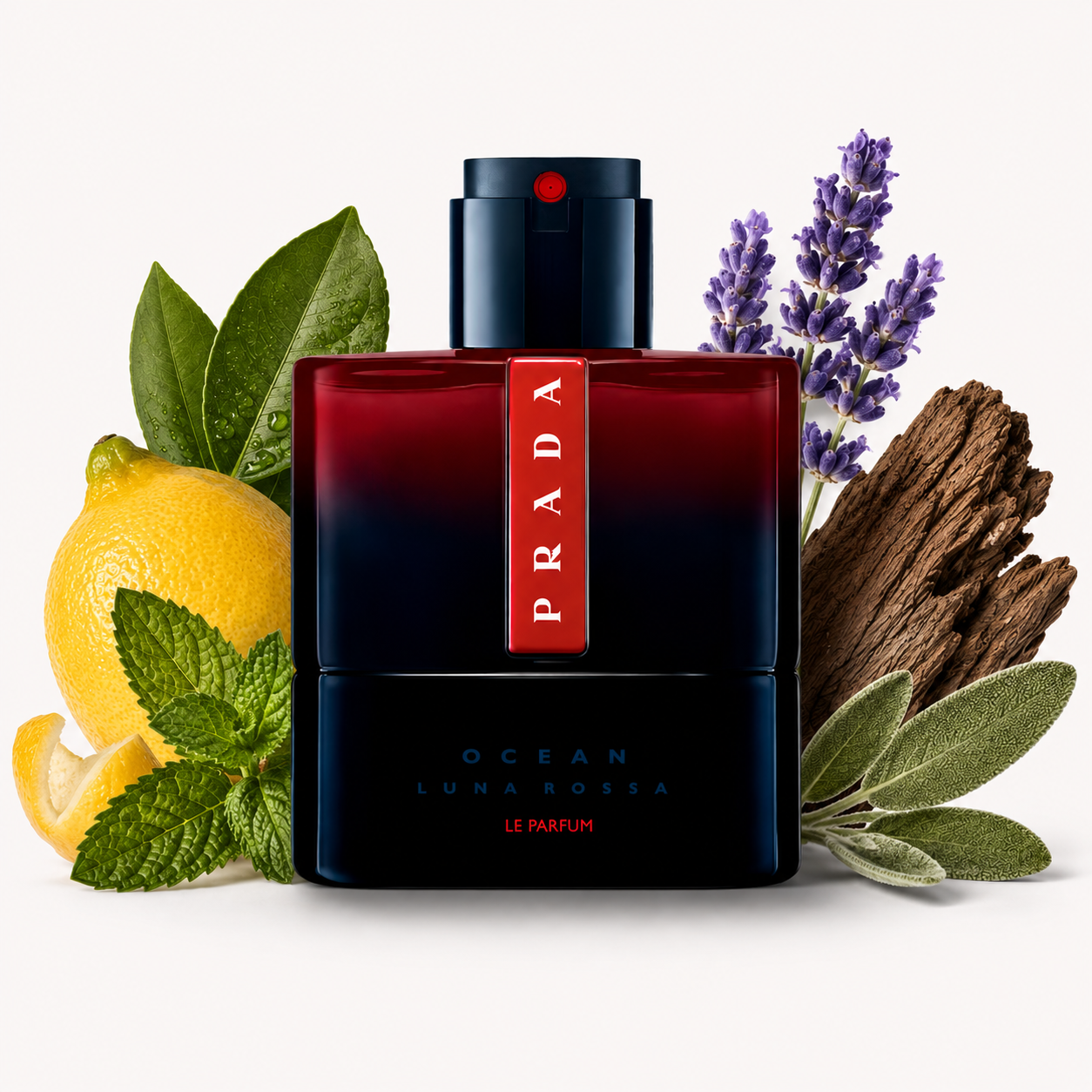 Luna Rossa Ocean Le Parfum