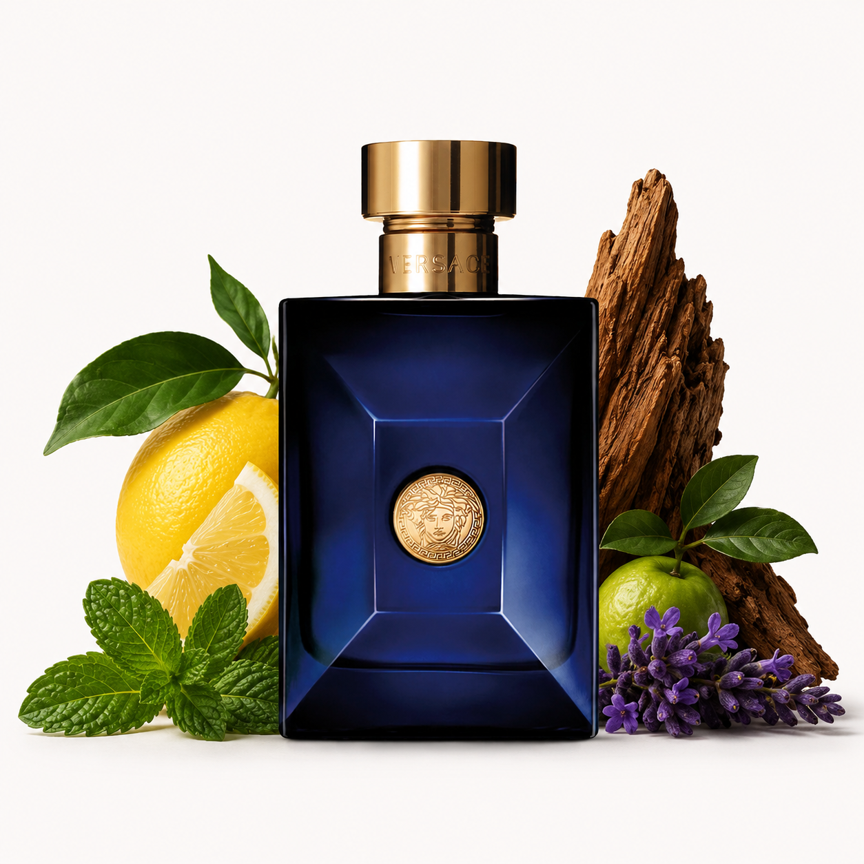 Dylan Blue Pour Homme Eau de Toilette